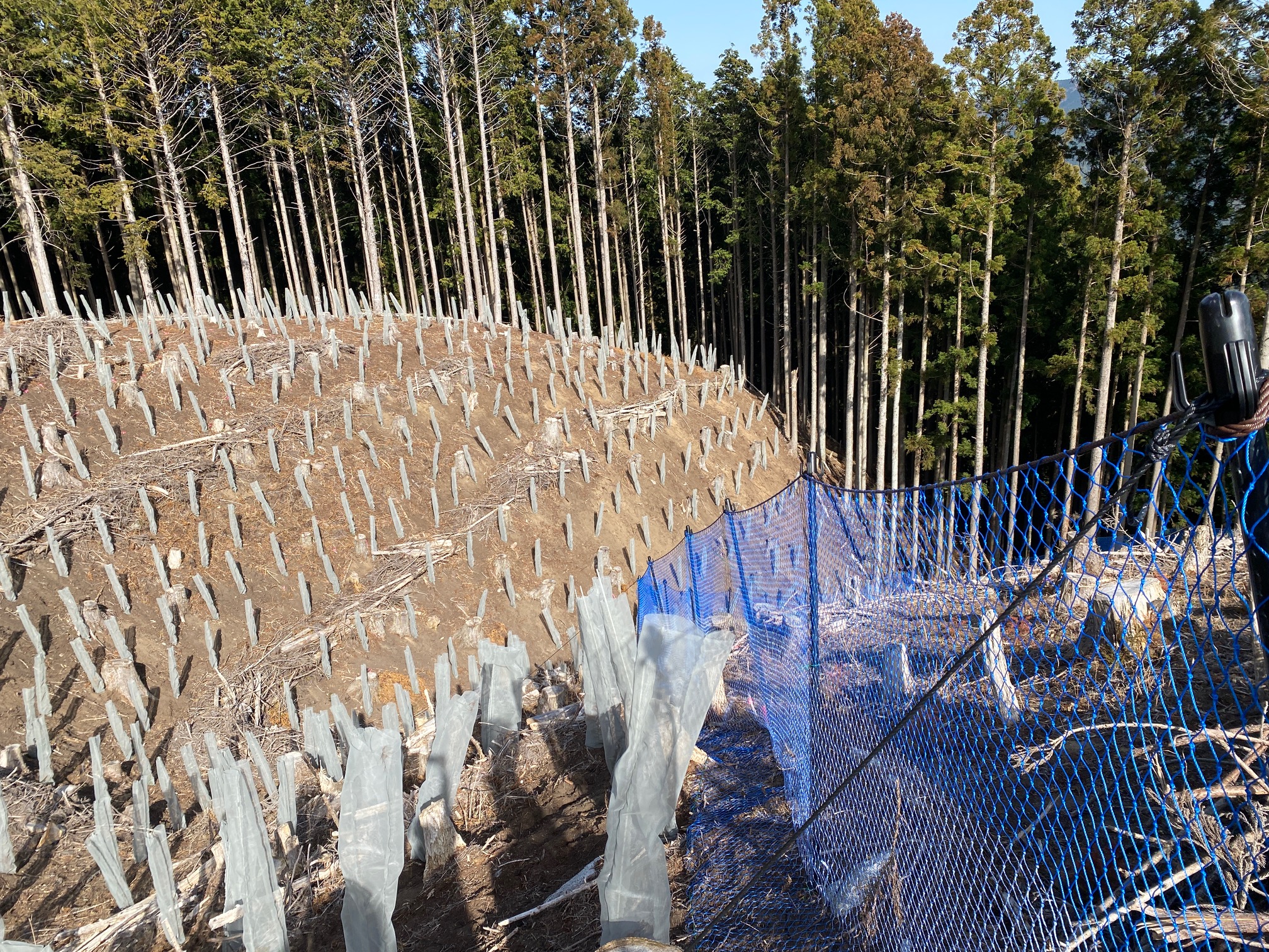 ブロックディフェンス